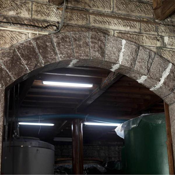 【人気急上昇中の酒蔵！】　森嶋(もりしま)　美山錦　純米吟醸　生酒　美山錦100％　精米歩合55％　1800ml(クール便推奨) |  | 03