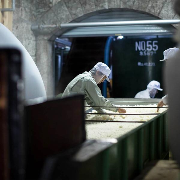 【人気急上昇中の酒蔵！】　森嶋(もりしま)　美山錦　純米吟醸　生酒　美山錦100％　精米歩合55％　1800ml(クール便推奨) |  | 05