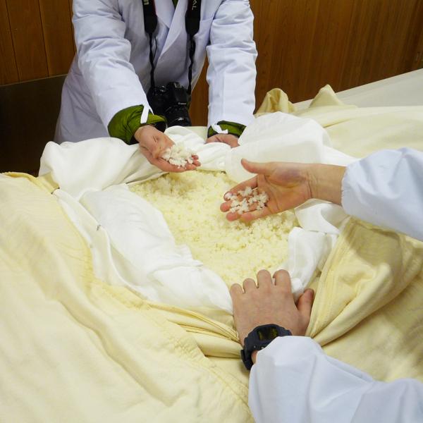 【送料無料！】【ANAファーストクラス採用！】　蓬莱　純米吟醸　家伝手造り　飛騨ほまれ　精米歩合55％　1800ml×2本セット(北海道・沖縄は送料+990円) | 蓬莱 | 06