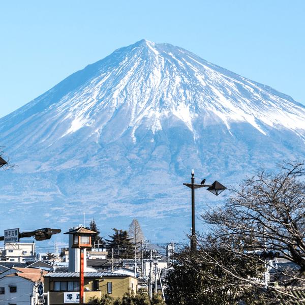【日本酒コンテストで金賞受賞！静岡県の酒蔵のみ使用が許される希少な酒米を全量100%使用！】　富士高砂　令和誉富士　純米吟醸　精米歩合60％　1800ml | 高砂酒造 | 03