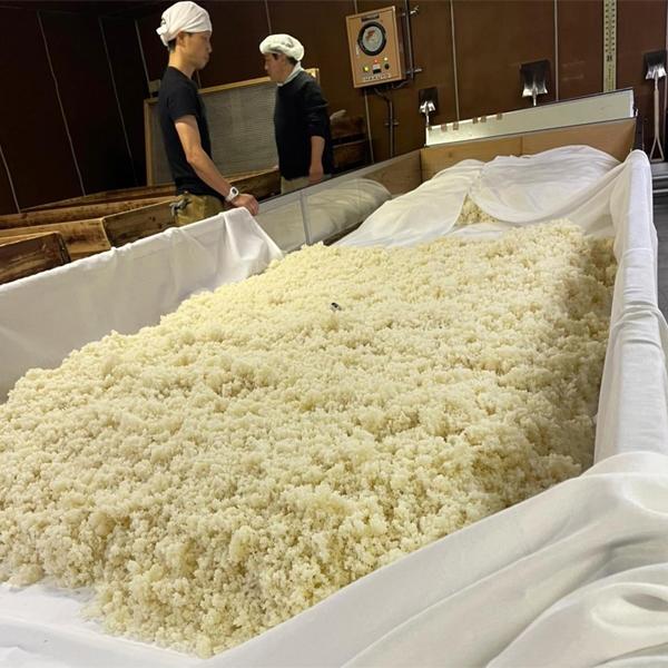 【日本酒コンテストで金賞受賞！静岡県の酒蔵のみ使用が許される希少な酒米を全量100%使用！】　富士高砂　令和誉富士　純米吟醸　精米歩合60％　1800ml | 高砂酒造 | 06