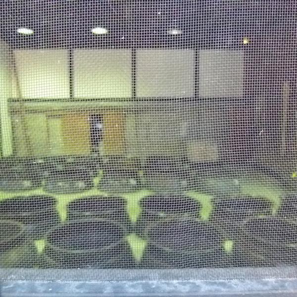 森伊蔵 【大量入荷！】【キング・オブ・焼酎！焼酎の最高峰！】 森伊蔵