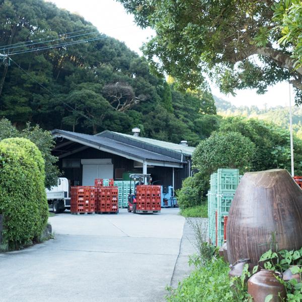 ■■【あの村尾の蔵が製造！村尾の現地バージョン！】　薩摩茶屋　芋焼酎　かめ壺仕込み　25度　1800ml｜first19782012｜02