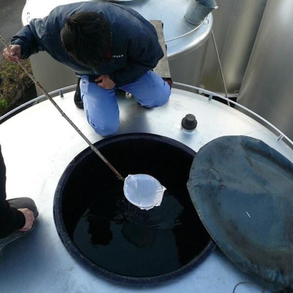 【限定入荷しました！】【安納芋よりはるかに甘い紅はるか芋を通常より30％も多く使用！】　紅王道　紅はるか芋　黒麹　無濾過　25度　1800ml | 恒松酒造本店 | 06