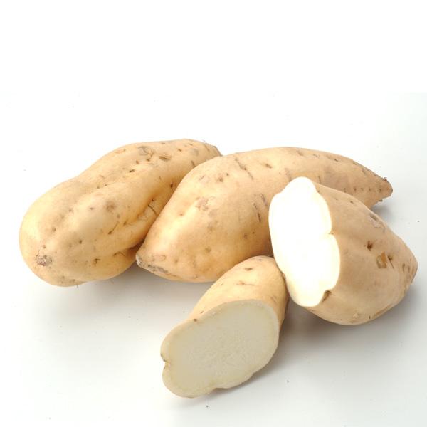 【限定入荷しました！】【季節限定！通に飲んでほしい濃厚な薄にごり！】　伝承さつまおはら　にごり　2026年　芋焼酎　25度　1800ml |  | 02