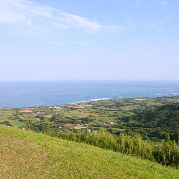 【鹿児島種子島産紫芋ならではのフルーティーな香り！】むらさき浪漫　種子島産紫芋使用　黒麹　芋焼酎　25度　1800ml(8) |  | 02