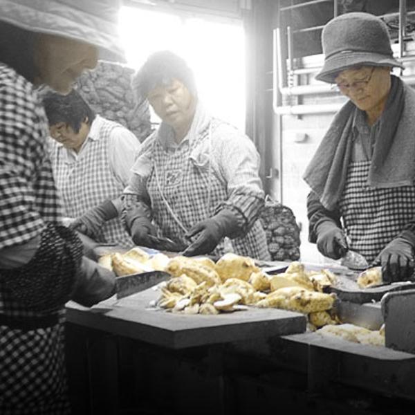 【限定入荷しました！】【種子島の出来立てホヤホヤの新酒焼酎！華やかな香りと甘味が病み付き！】　新焼酎　しま甘露　芋焼酎　25度　1800ml |  | 01