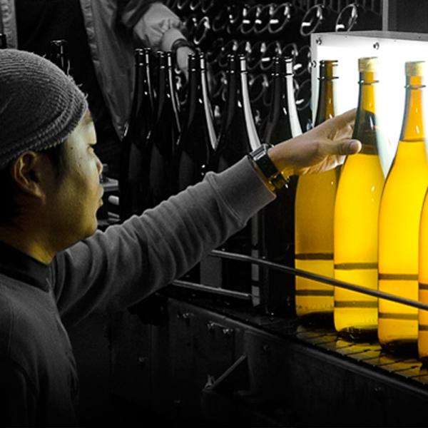 【限定入荷しました！】【種子島の出来立てホヤホヤの新酒焼酎！華やかな香りと甘味が病み付き！】　新焼酎　しま甘露　芋焼酎　25度　1800ml |  | 05