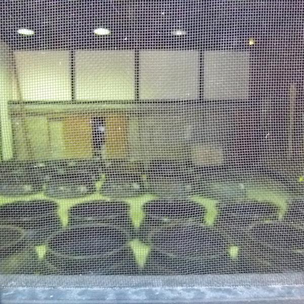 【送料無料・ギフトに最適！】御礼「ほんの気持ちです」　森伊蔵　芋焼酎　かめ壺仕込み　25度　1800ml「豪華桐箱入り」(北海道・沖縄は送料+990円) | 森伊蔵 | 04