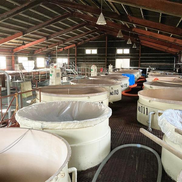 【限定入荷しました！】【木樽で3年間貯蔵熟成！濃厚且つ刺激的な麦の風味！】　天の風　木樽貯蔵　3年古酒　麦焼酎　25度　1800ml |  | 02