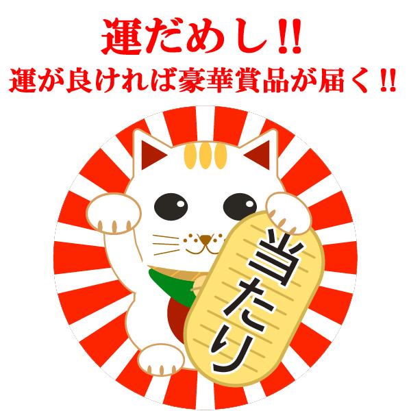 【送料無料！】【焼酎くじ】　森伊蔵、魔王、佐藤黒が10本に1本の確率で当たる！憧れの芋焼酎をご自宅で！　200セット限定企画！(北海道・沖縄は送料+990円) | 森伊蔵 | 09