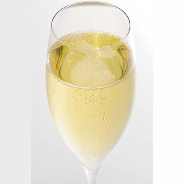 「大人気のやや甘口タイプ！」　ロジャーグラート　カヴァ　プラチナ　ドゥミ・セック　泡白　やや甘口　750ml(正規輸入品)(10-7157) |  | 01