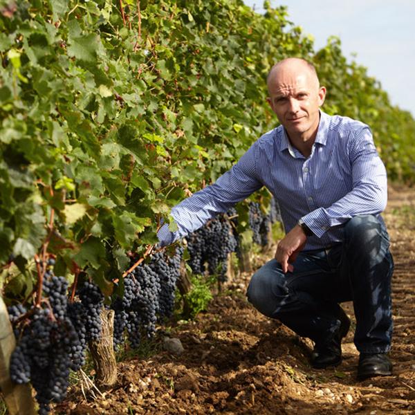 大人気のフランス・ボルドーワインのハーフボトル！】 ガストン