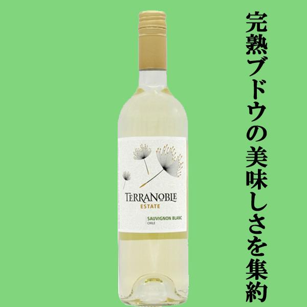 【送料無料！】【レストラン採用ワイン！】テラノブレ　ソーヴィニヨン・ブラン　白　750ml(スクリューキャップ)(1ケース/12本入り)(北海道・沖縄は送料+990円)｜first19782012｜02