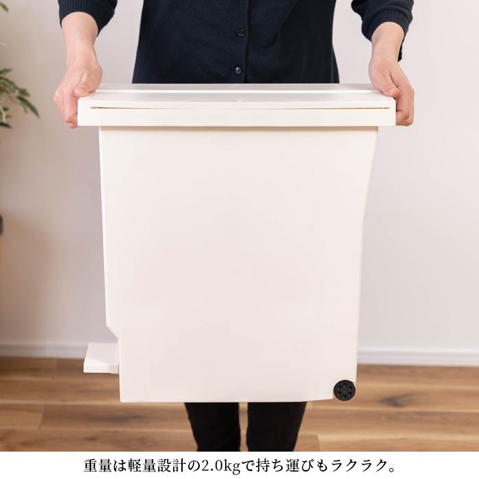 東谷 ゴミ箱 バタフライペダルペール 45L ペダル開閉 左右開き ごみ箱