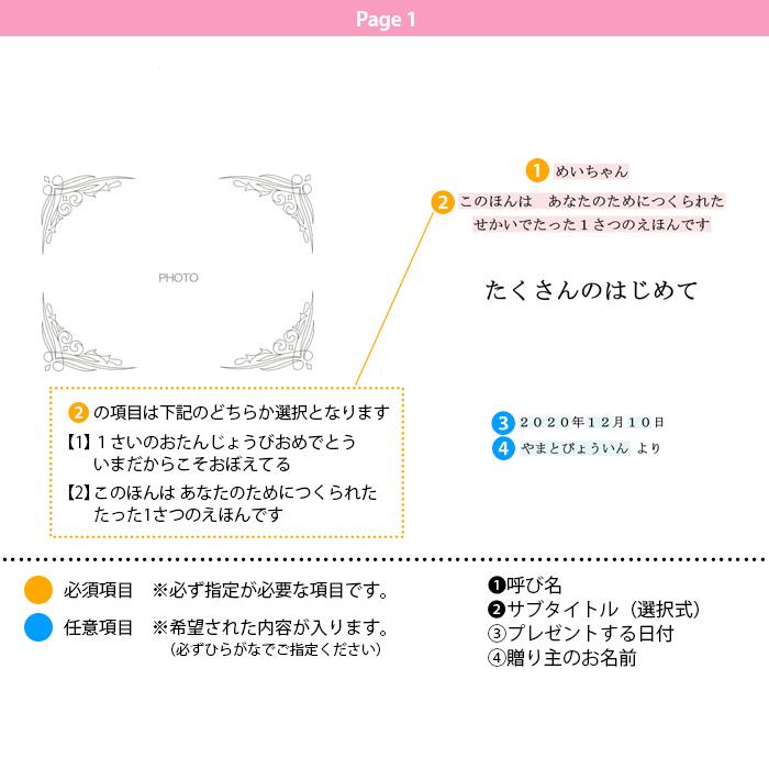 たくさんのはじめて オリジナル絵本 名入れ 絵本 誕生日 プレゼント 贈り物 |  | 01