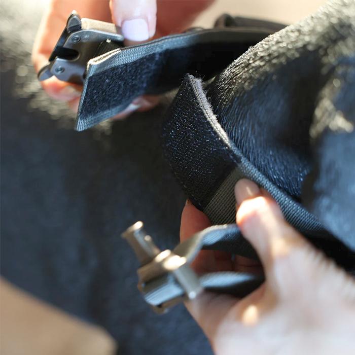 Noble Collar ノーブルカラー 犬 ペット用品 首輪 中型犬 大型犬 magnet |  | 04