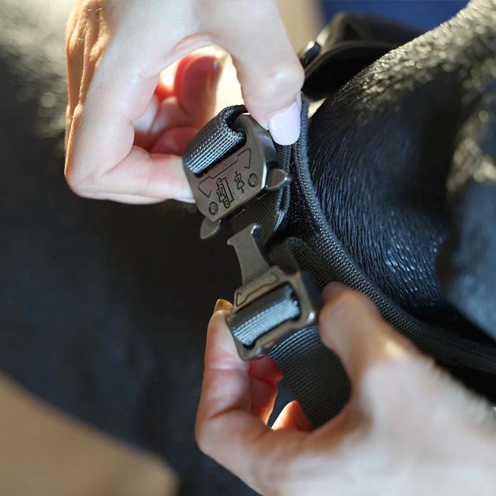 Noble Collar ノーブルカラー 犬 ペット用品 首輪 中型犬 大型犬 magnet |  | 05