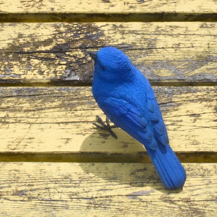 magnet ブルーバード 青い鳥 鳥 インテリア 置き物 BLUE BIRD 文具