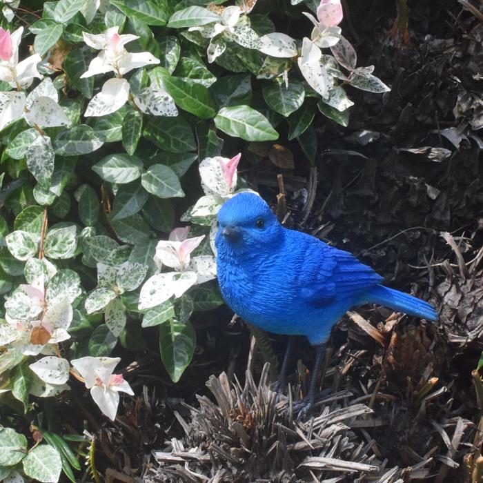 magnet ブルーバード 青い鳥 鳥 インテリア 置き物 BLUE BIRD 文具