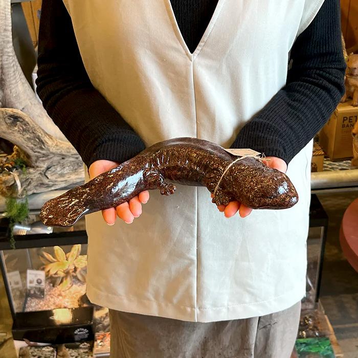 magnet PET BANK オオサンショウウオ 貯金箱 インテリア 置き物 絶滅