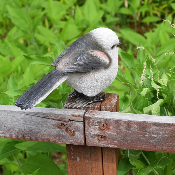 magnet バーディビル シマエナガ 鳥 インテリア 置き物 LONG-TAILED