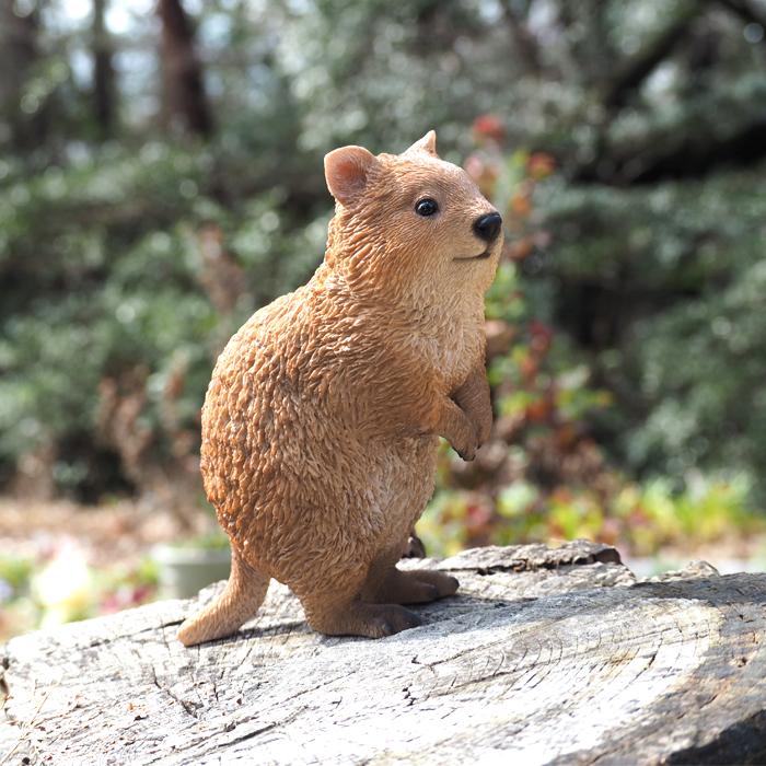 PET BANK クアッカ ワラビー 貯金箱 インテリア 置き物 かわいい 動物 ペット JAZA寄付 QUOKKA magnet マグネット｜firstaid｜04