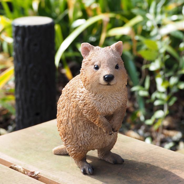magnet PET BANK クアッカ ワラビー 貯金箱 インテリア 置き物