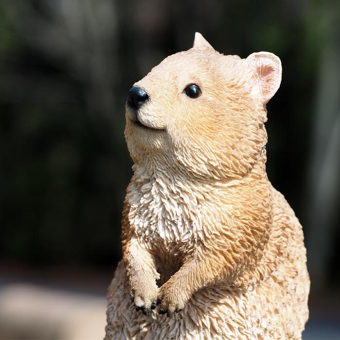 magnet PET BANK クアッカ ワラビー 貯金箱 インテリア 置き物