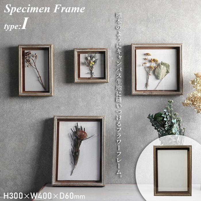 magnet Specimen Frame スペシメンフレーム 1 写真立て フォト
