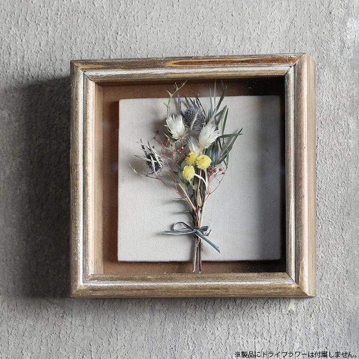 magnet Specimen Frame スペシメンフレーム 1 写真立て フォトフレーム