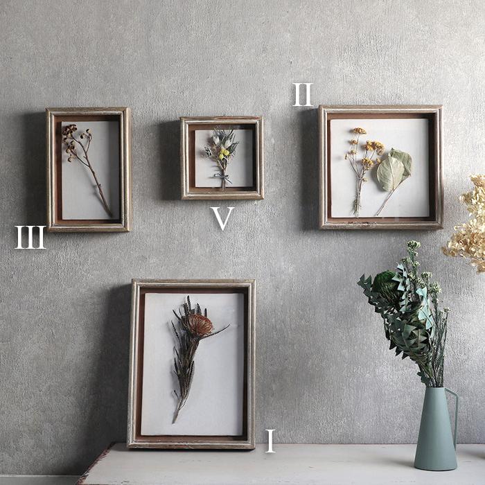 magnet Specimen Frame スペシメンフレーム 1 写真立て フォトフレーム