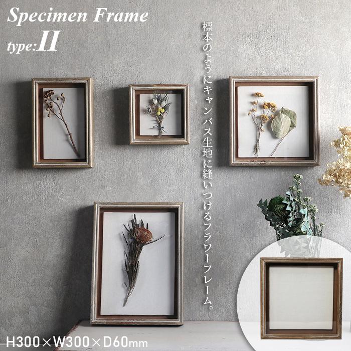 magnet Specimen Frame スペシメンフレーム 2 写真立て フォトフレーム