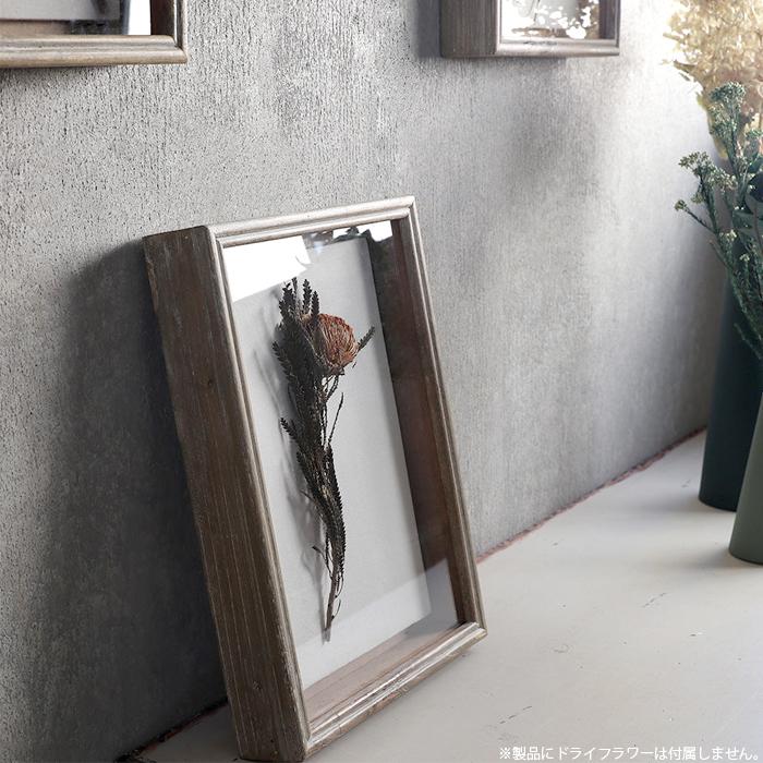 magnet Specimen Frame スペシメンフレーム 2 写真立て フォトフレーム