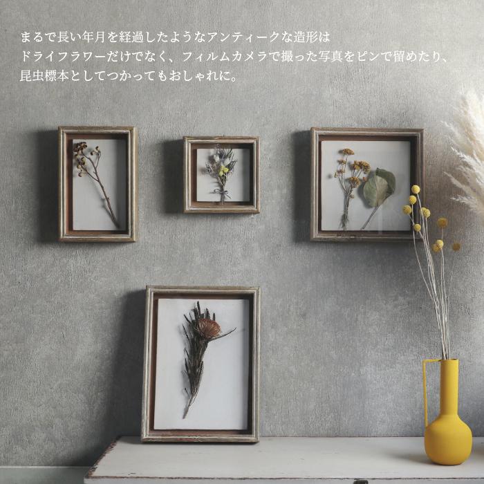 magnet Specimen Frame スペシメンフレーム 2 写真立て フォトフレーム