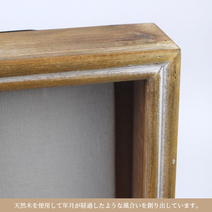 magnet Specimen Frame スペシメンフレーム 2 写真立て フォトフレーム