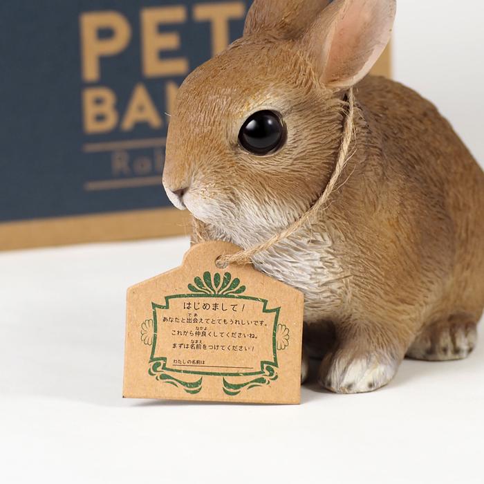 magnet PET BANK ウサギ 貯金箱 インテリア 置き物 かわいい 動物