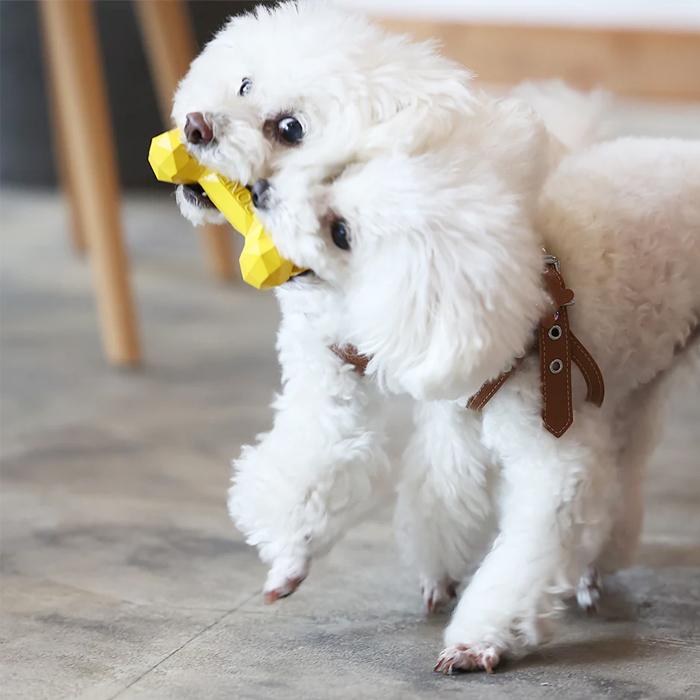 BONEBONE ペット おもちゃ 骨 噛むおもちゃ ギフト magnet |  | 01