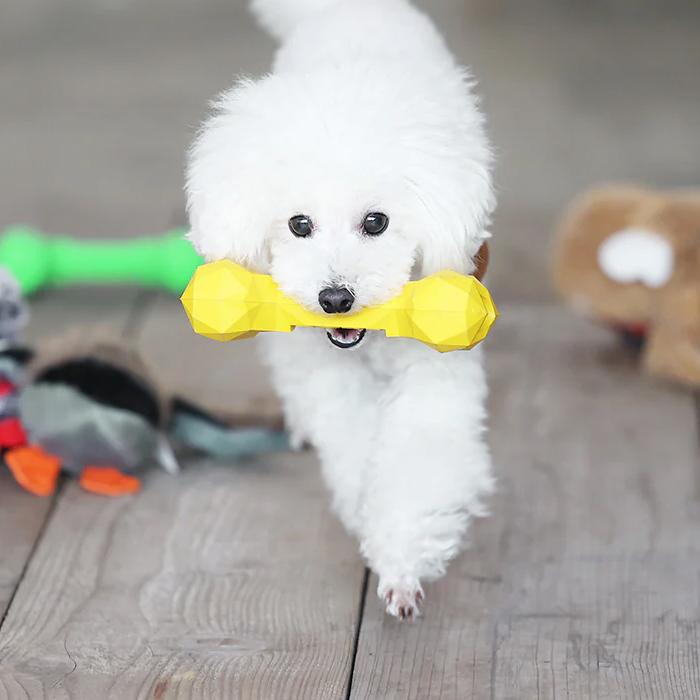 BONEBONE ペット おもちゃ 骨 噛むおもちゃ ギフト magnet |  | 03