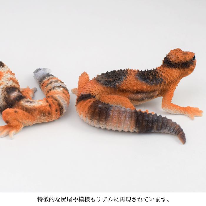 magnet ニシアフリカトカゲモドキ FAT TAILED GECKO フィギュア