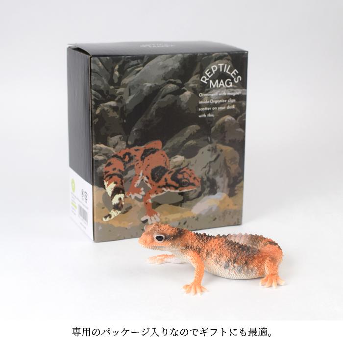 magnet ニシアフリカトカゲモドキ FAT TAILED GECKO フィギュア