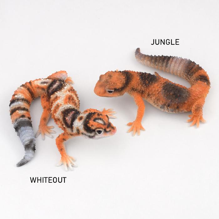 magnet ニシアフリカトカゲモドキ FAT TAILED GECKO フィギュア