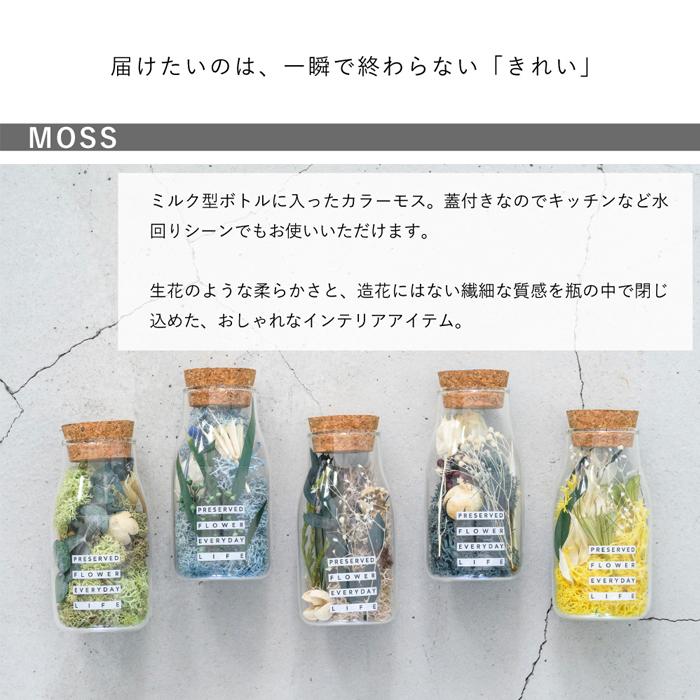 モスボトル PFEL プリザーブドフラワー プリザーブド 天然 ボトル フラワー 生花 ギフト magnet | magnet | 07