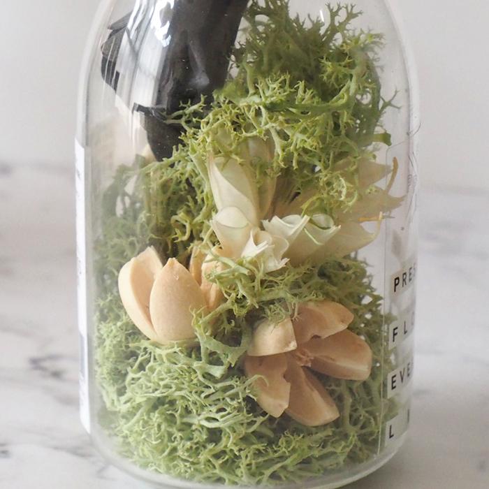 モスボトル PFEL プリザーブドフラワー プリザーブド 天然 ボトル フラワー 生花 ギフト magnet | magnet | 10