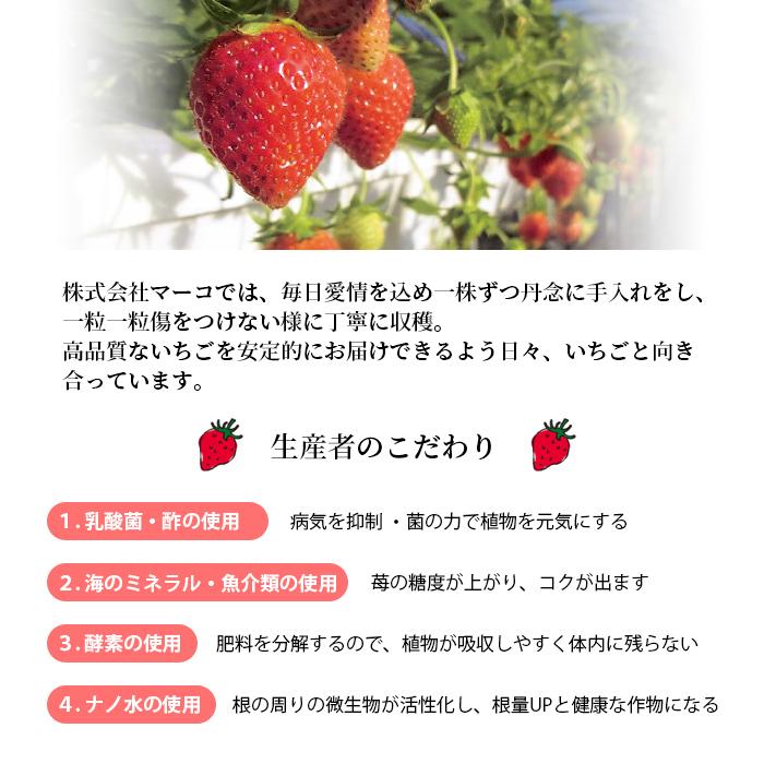 いちごバター 3個セット 国産 イチゴ 苺 紅ほっぺ 無添加 のし いちごバター 3個セット 国産 イチゴ 苺 紅ほっぺ 無添加 のし