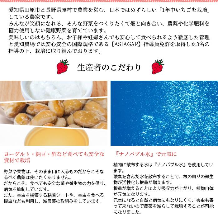 いちごバター 3個セット 国産 イチゴ 苺 紅ほっぺ 無添加 のし いちごバター 3個セット 国産 イチゴ 苺 紅ほっぺ 無添加 のし