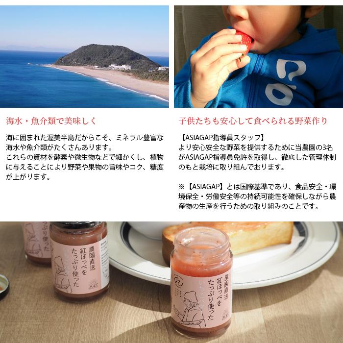 いちごバター 3個セット 国産 イチゴ 苺 紅ほっぺ 無添加 のし付き お中元 お歳暮 ブランド ギフト マーコ |  | 12