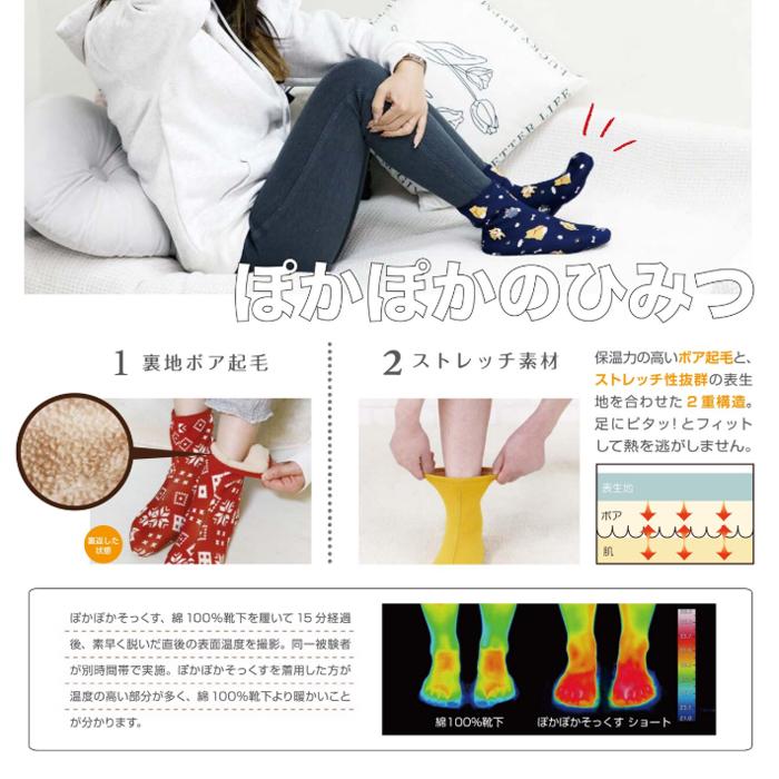 ぽかぽかソックス アンクル 21cm 25cm 冷え性 温感 靴下 柴犬 カピバラ ネコ 丸和貿易 | 丸和貿易 | 07