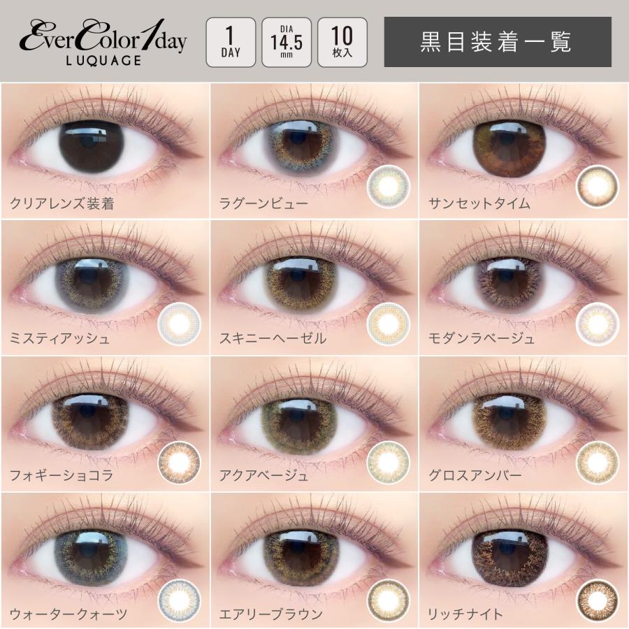 カラコン エバーカラーワンデー ルクアージュ 10枚入 ×1箱 | アイセイ | 14