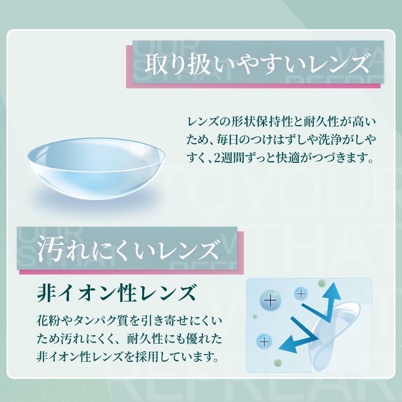 コンタクトレンズ　2week 2ウィーク　リフレアUV 6枚入×2箱 処方箋不要 コンタクトレンズ　2week 2週間 | フロムアイズ | 06